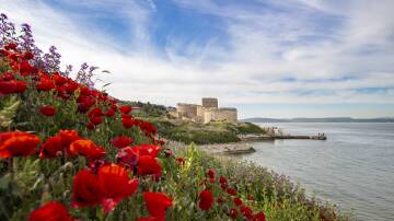 Lest we forget: Gallipoli's history and myths revealed
