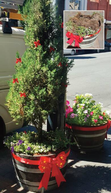 Stolen: The decorated Christmas tree outside the Heart of Stone shop in Katoomba and, inset, after the theft.