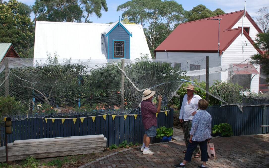 Full netting: Vanessa and Terry McGarrigle's Mt Victoria garden offers maximum protection from birds, possums or any other would-be food thieves.
