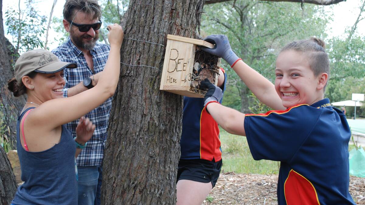 School learning support officer Becky Chatfield and industrial arts teacher Chris Byrne help Miriam Nelson attach her bee hotel to a tree near the bush tucker garden.