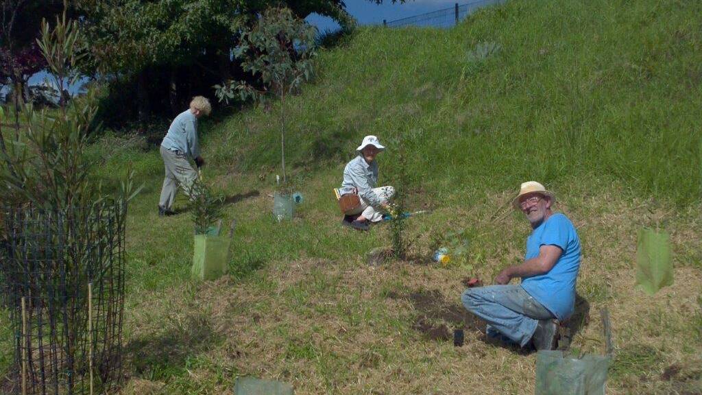 Planting Eucalyptus oreades: Vicki  Lazer, Meredith Brownhill, David Griffiths. Photos: Fiona Vaughan