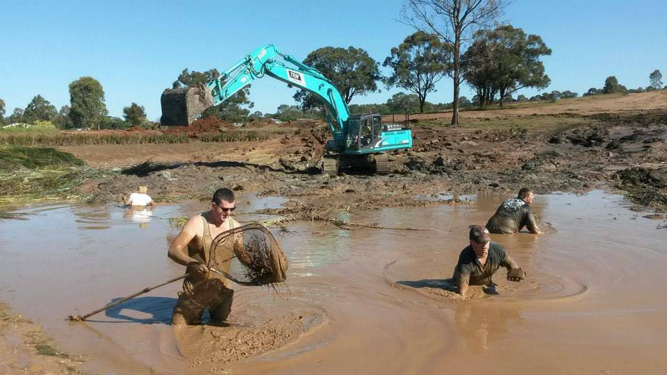 Hard yards: The turtles are at the bottom of dams, where it's muddy.