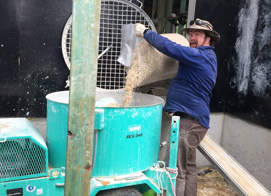 Having a go: Cr Brent Hoare empties hemp into the mixer before adding water and a binder. The mixture is then poured into formwork to make the walls.
