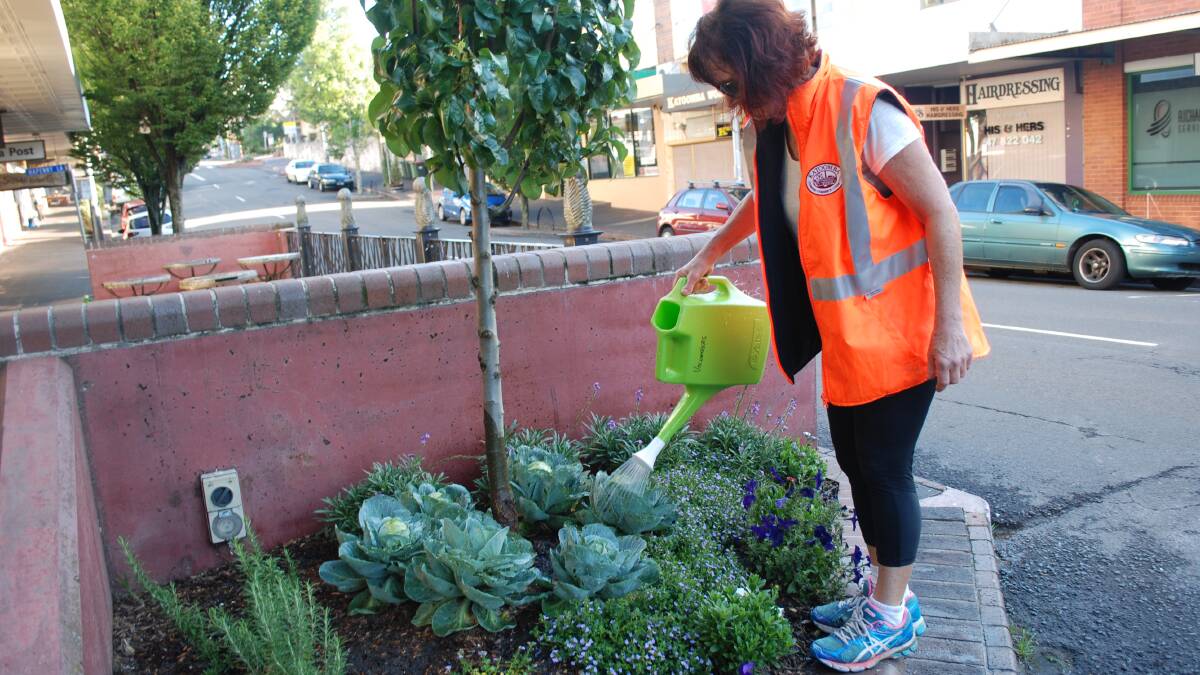 Katoomba St is looking better these days, thanks to a group of volunteers who have been clearing, planting, weeding and watering the new garden beds and pots.