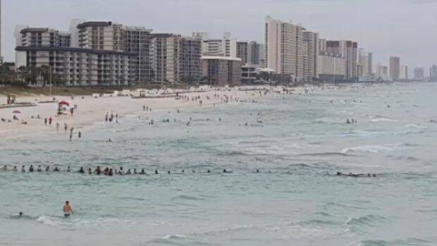 The beachgoers formed a human chain to rescue the stricken swimmers.  

