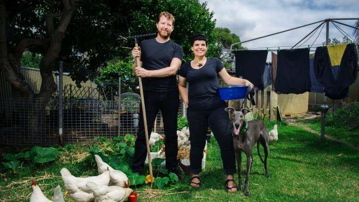 Project Hound celebrated ex-racing greyhounds and the diversity of their new owners, who are featured around their homes and in work environments. Photo: Christopher Pearce
