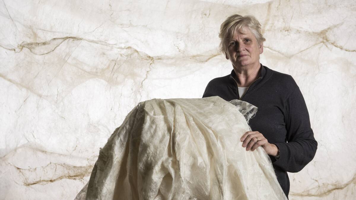 Huge work of art: Fiona Davies' Blood on Silk: Last Seen is now showing at Casula Powerhouse Arts Centre.