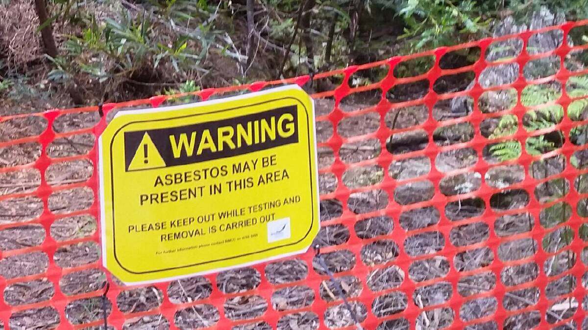 Blue Mountains mayor promises a safer council in asbestos management crackdown