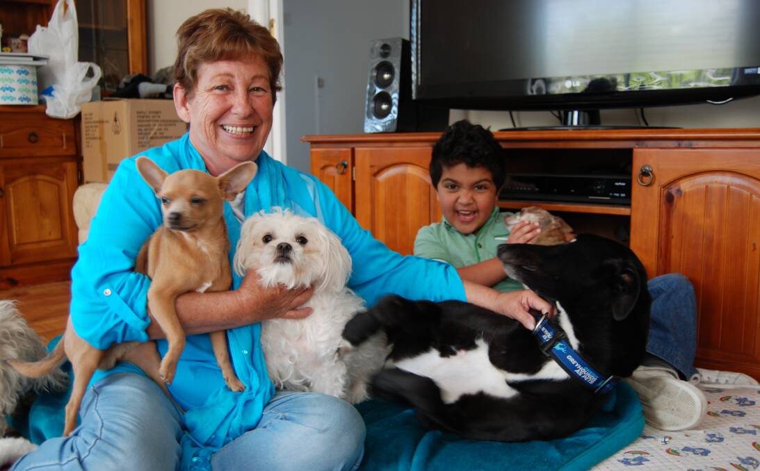 Loves her dogs: Loretta Stanfield with grandson Noah Allen-Drury, greyhound Mickey, and dogs Azlan and Rosie.
