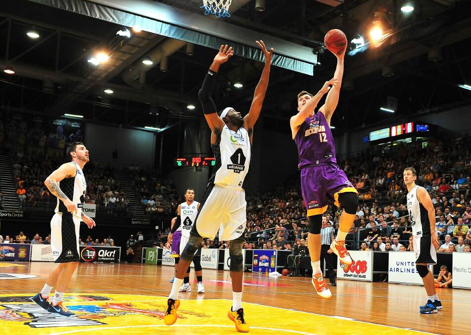 In demand: Angus Brandt in action for the Sydney Kings against Melbourne United during the 2015-16 NBL season. Photo: Noel Rowsell (www.photoexcellence.com.au)