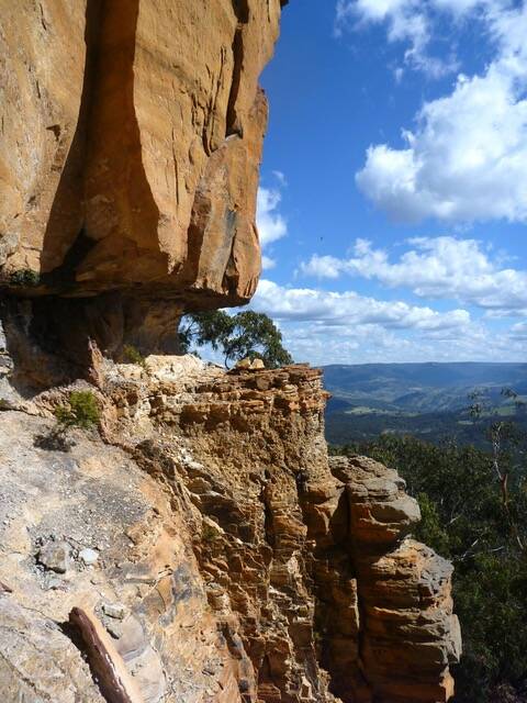 Getting vocal: The Blue Mountains Conservation Society will hold a rally about Radiata Plateau in Katoomba on Sunday. Picture: Tim Vollmer