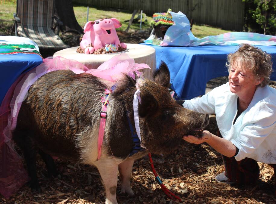 Big celebration: Cindy Rhodes organised a party fit for a princess for Betty the pig's first birthday on Sunday. She enjoyed a cute pig chocolate mudcake created by a chef.