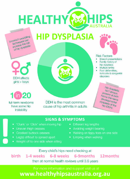Hip dysplasia info