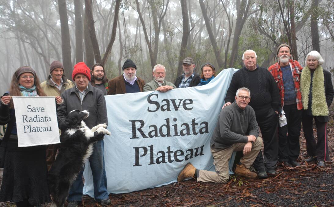 Opposed to the plans: Concerned residents and Blue Mountains Conservation Society members at Radiata Plateau in Katoomba.