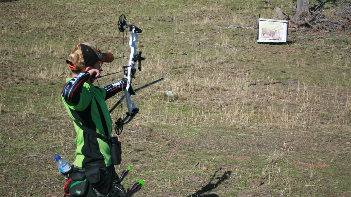 Strong shooter: Jye Cooke loves archery as well, placing fourth overall in the cub boys freestyle unlimited division for under 13s.
