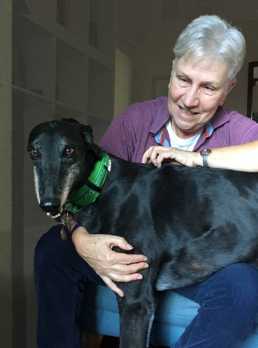 Wentworth Falls resident saved a life and recommends ‘hound love’
