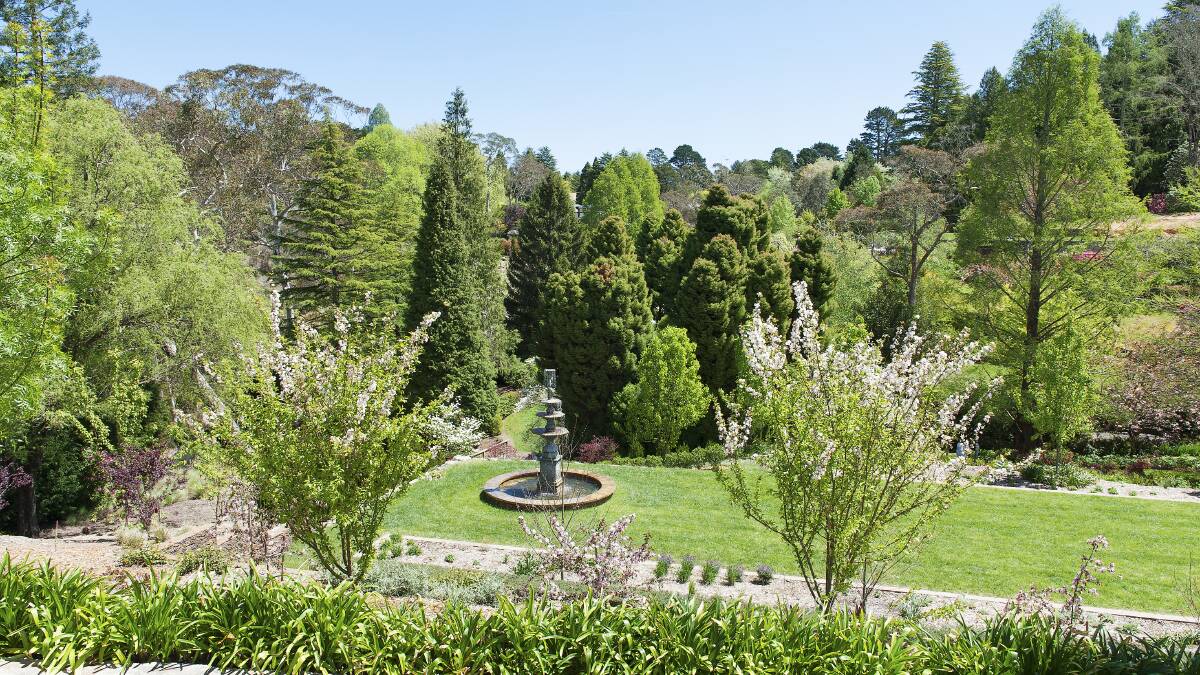 More to see: The Braes returns to the Leura Gardens Festival after a break for refurbishment.