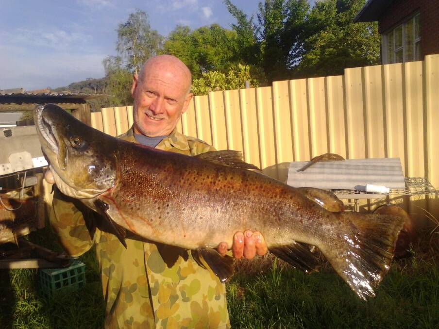 HOOK, LINE AND SINKER: Cale Brown hooked this 23 pound, 90 centimetre monster brown trout at Khancoban last weekend. 