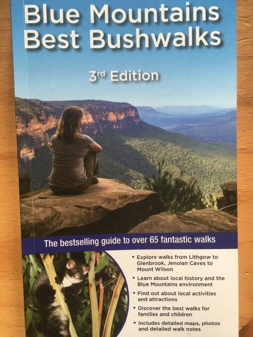 Book launch this month. Cover photo taken at Breakfast Point in Wentworth Falls by Camille Walsh