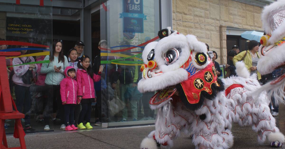 Year of the Monkey: The Jin Wu Koon Dragon and Lion Dance Association performs at Scenic World in Katoomba. 