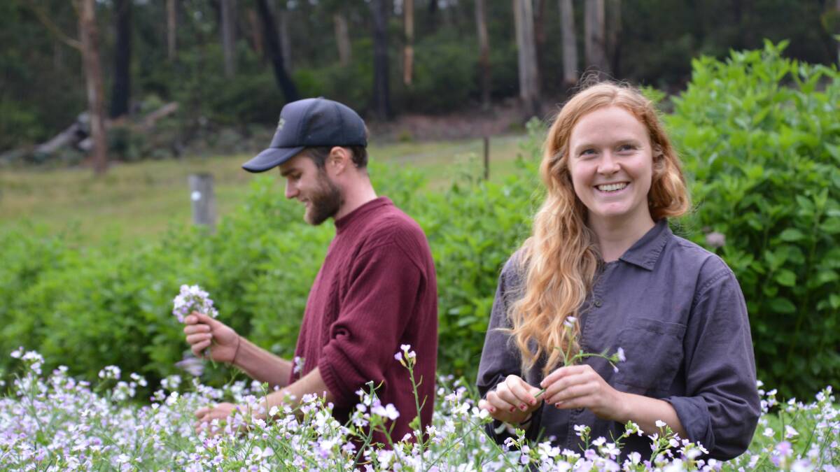 Part of an expert panel: Farmers from Blackheath, Hayden Druce and Erika Watson from Epicurean Harvest. Photo: Ilsa Cunningham