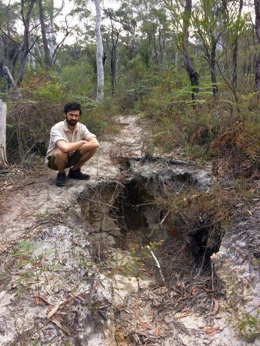 Sick of the damage: Illegally constructed trails at Cripple Creek Reserve. Ecologist Eli Bendall, said he is concerned by the ongoing land clearing in the Lower Blue Mountains reserve.