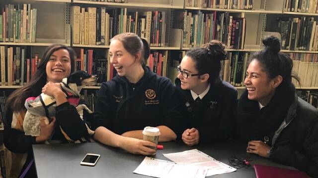 Pre-exam puppy therapy for students doing the HSC at Blue Mountains Grammar: Alycia Hamilton-Costello gets a cuddle from Tazzi in the library as Meg Brailey, Isabel Stortenbeker and Selai Rokotuiwai look on. 