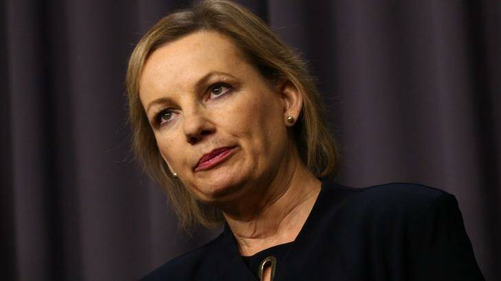 Health Minister Sussan Ley launched the pharmacy review in 2015 as part of a $18.9 billion agreement with the sector.   Photo: Andrew Meares