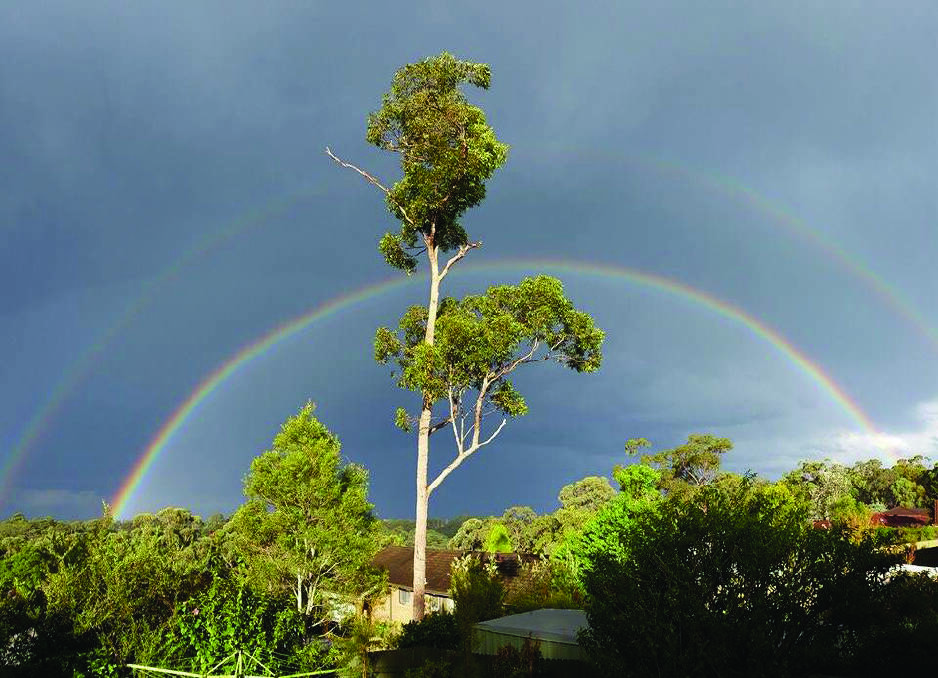A double rainbow breaks the storm at Springwood on Saturday. Photo: Gene Brennan
