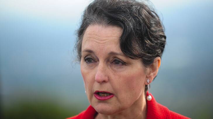 The new Planning Minister, Pru Goward. Photo: Katherine Griffith