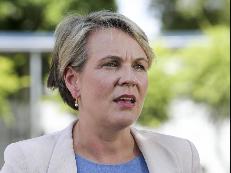Labor wants to examine what teaching practices work best for Australian students.