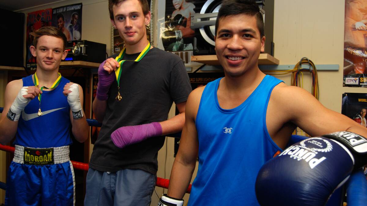 On the rise: 2014 Golden Gloves gold winners for their weight and age divisions, Hamish Cunningham and Jake Tippet-Moore (also below winning), with fellow tournament entrant and Falkland Gym Backyard Biff representative Darryl Dizon inside the Winmalee-based club's boxing ring.