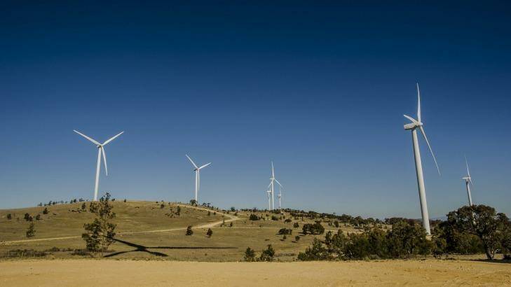 The Capital Wind Farm near Canberra. Photo: Jamila Toderas