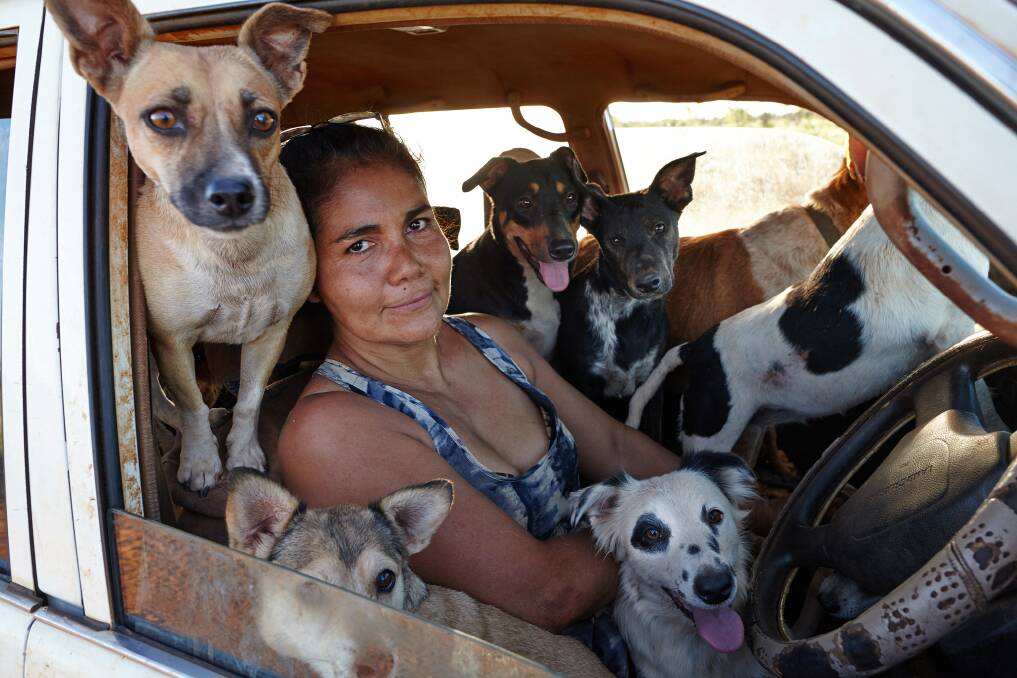 Gloria and her mob, one of the images from David Darcy's new book, A Girl's Best Friend.