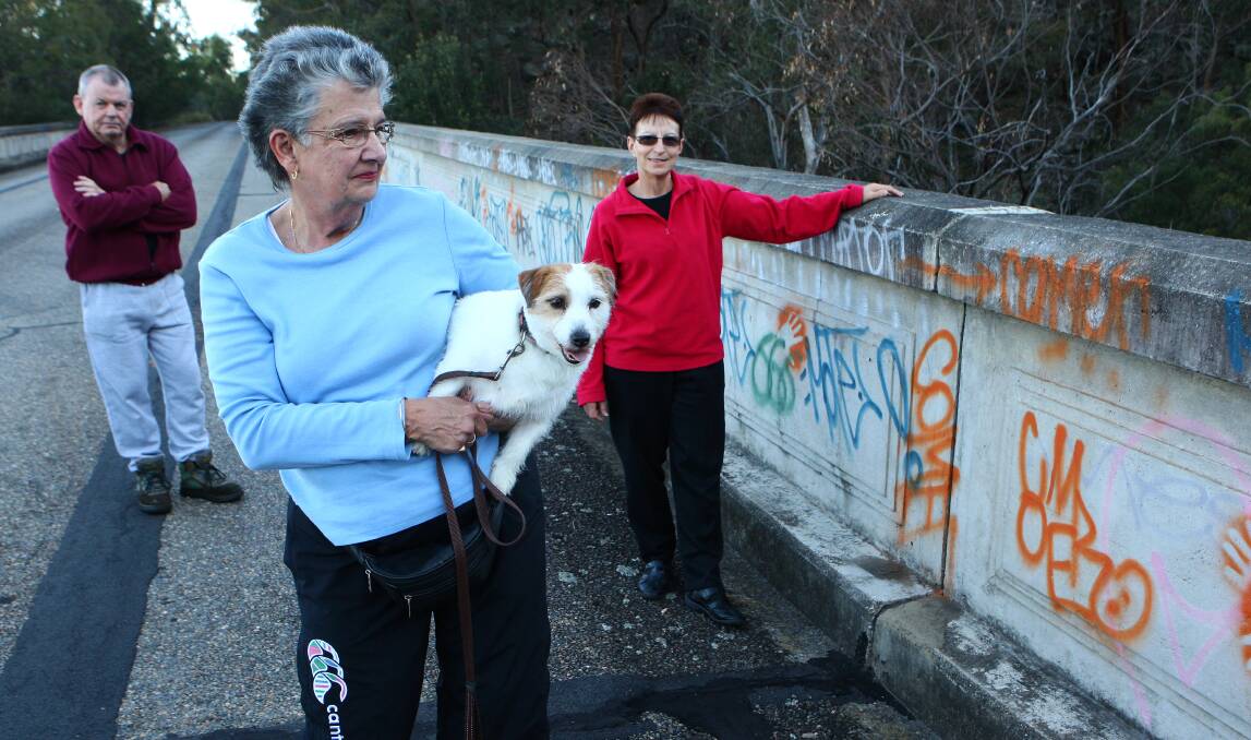 Beth Moore with dog Tilly, Dennis Trembath and Vicki Presdee who are concerned with graffiti on the historic Knapsack Viaduct. Picture: Gary Warrick.