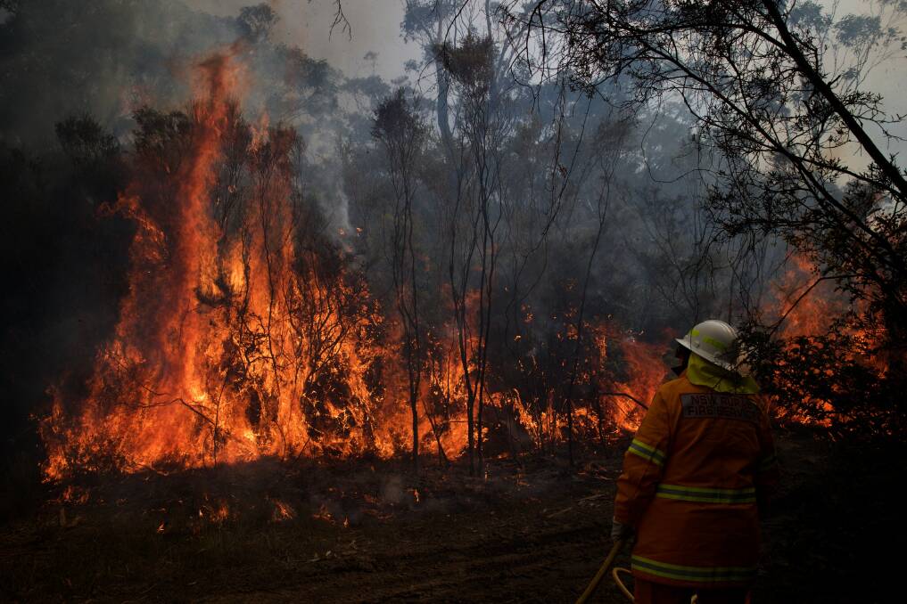 NSW Rural Fire Service crews struggle to put in a backburn to contain an out of control bushfire which continues to burn around the Wentworth Falls escarpment. Aug 2. Photo: Wolter Peeters.