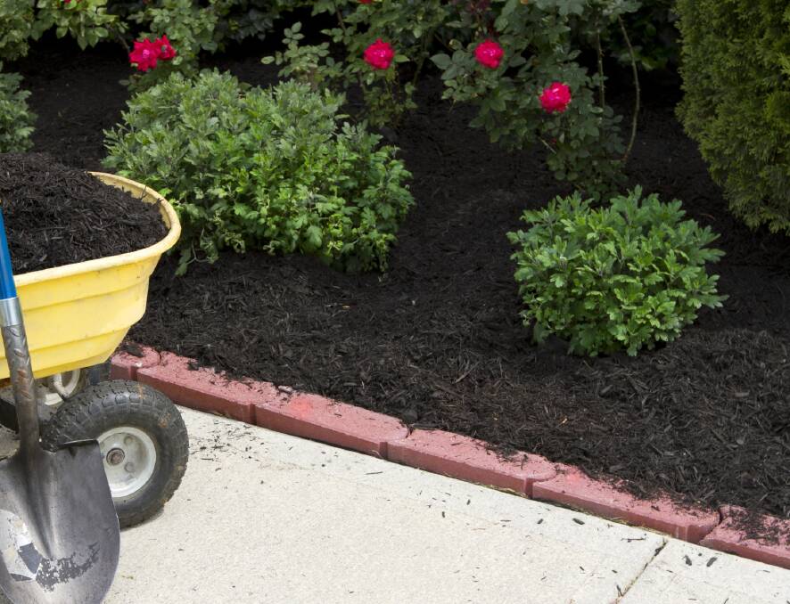 Mulching garden beds will help soil retain water. Photo: FILE.