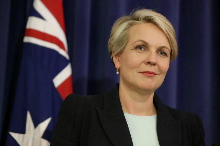 Deputy Opposition Leader Tanya Plibersek during a joint press conference with Opposition Leader Bill Shorten where they announced the shadow ministry, at Parliament House in Canberra on Saturday 23 July 2016. Photo: Alex Ellinghausen