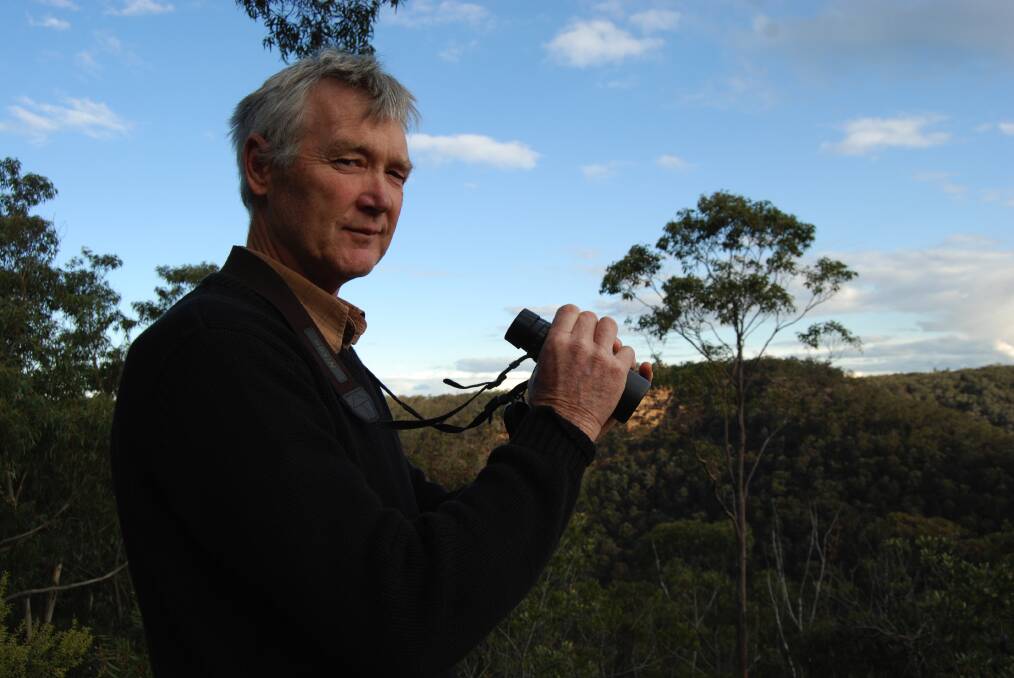 Blue Mountains birders like Mark Ley, pictured here at Martins Lookout in Springwood, despair of dramatically falling numbers of the gang-gang cockatoo.
