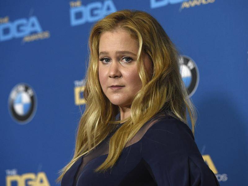 Amy Schumer has used the announcement of her wedding to call for donations to a gun-control lobby.
