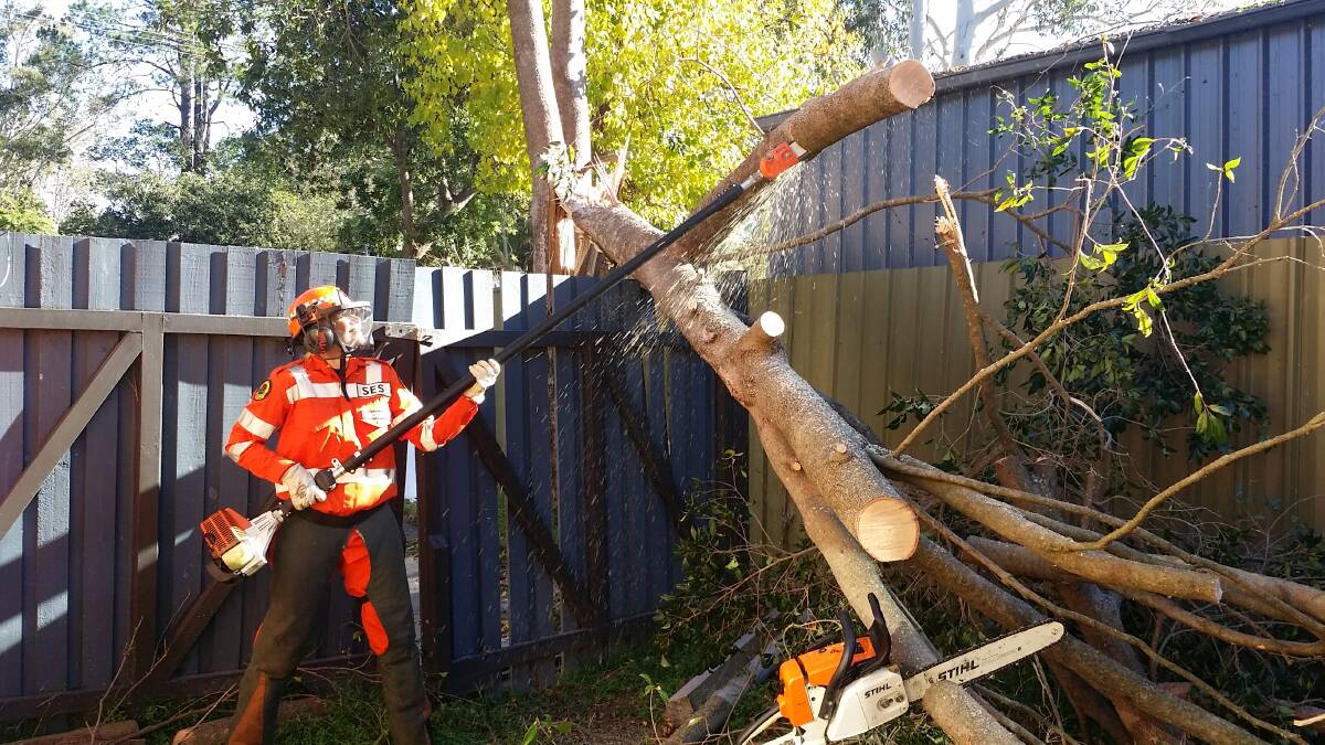 A Blue Mountains SES volunteer chops a fallen tree into smaller pieces in the backyard of a property on Hersey Street, Blaxland on June 25. Photo: Top Notch Video.