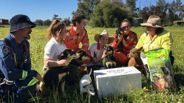 NSW SES volunteers deliver food and supplies to the Alcorn family on their property in Jemalong who have been cut off by floodwater.  Photo: John Townsend, SES 