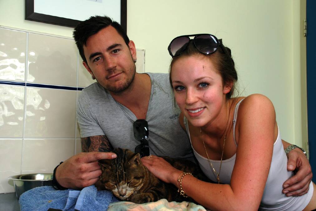 Yellow Rock couple Luke Curtis and Megan Gaudiosi with a burnt but alive Olly the cat the day after the October 2013 bushfires.