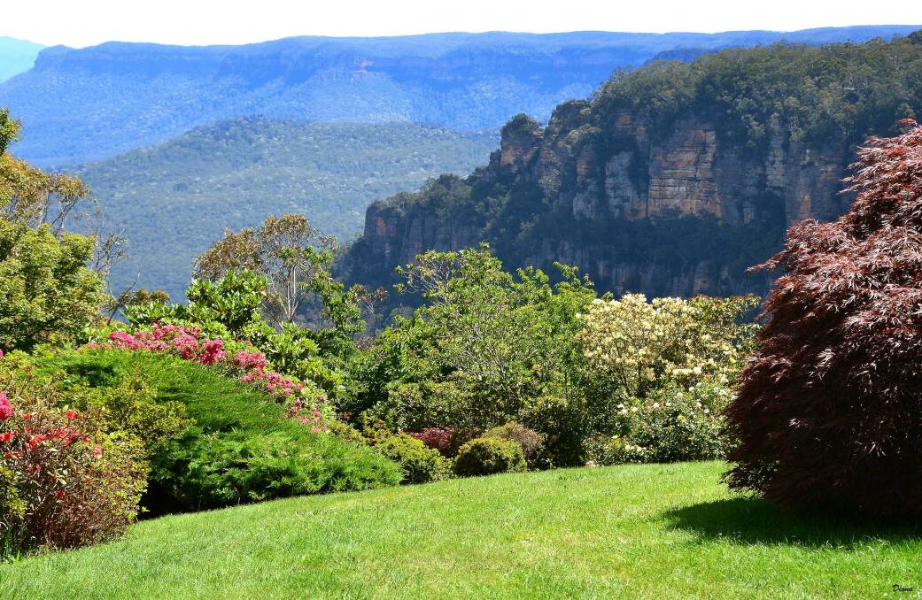 Classic garden: Blue Vista is one of the original show gardens in Leura and has been included in this year's Leura Gardens Festival as a sentimental reminder of its history.