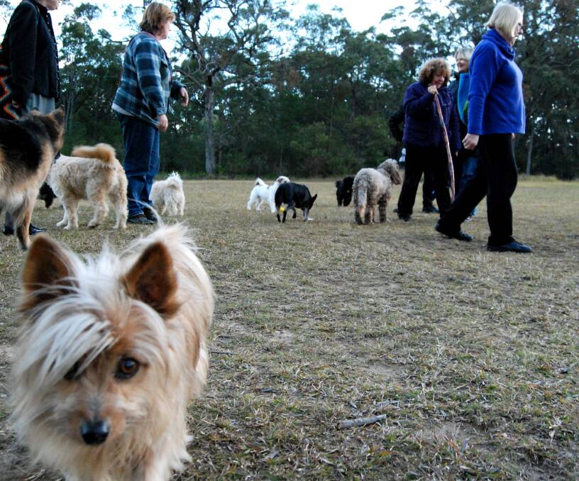 Dogs and their owners at the dog off-leash area within the former Lawson golf club site last week. A six-month trial to double the size of the area was knocked back by council on June 24.