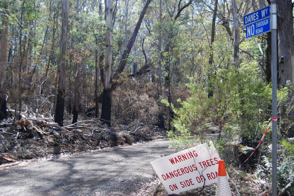 Dane's Way, Mr Irvine, where property was lost in the State Mine fire last October.