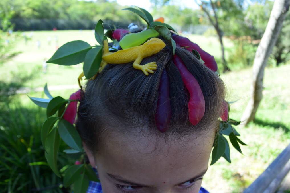 The 360 students from Wentworth Falls Public School went a little crazy last Thursday but it was all in the name of charity. 
Mela Hoffman had edible snakes in her hair.