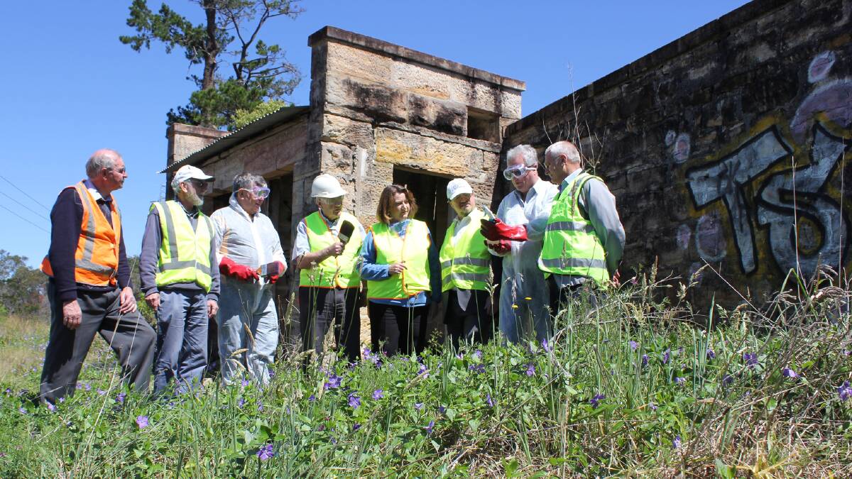 Michael Small, Greg Birtles, Laurie Waterson, Tom Colless, Roza Sage MP, Trevor Lloyd, Mark Jarvis and deputy mayor Chris Van der Kley get into gear for graffiti removal day.