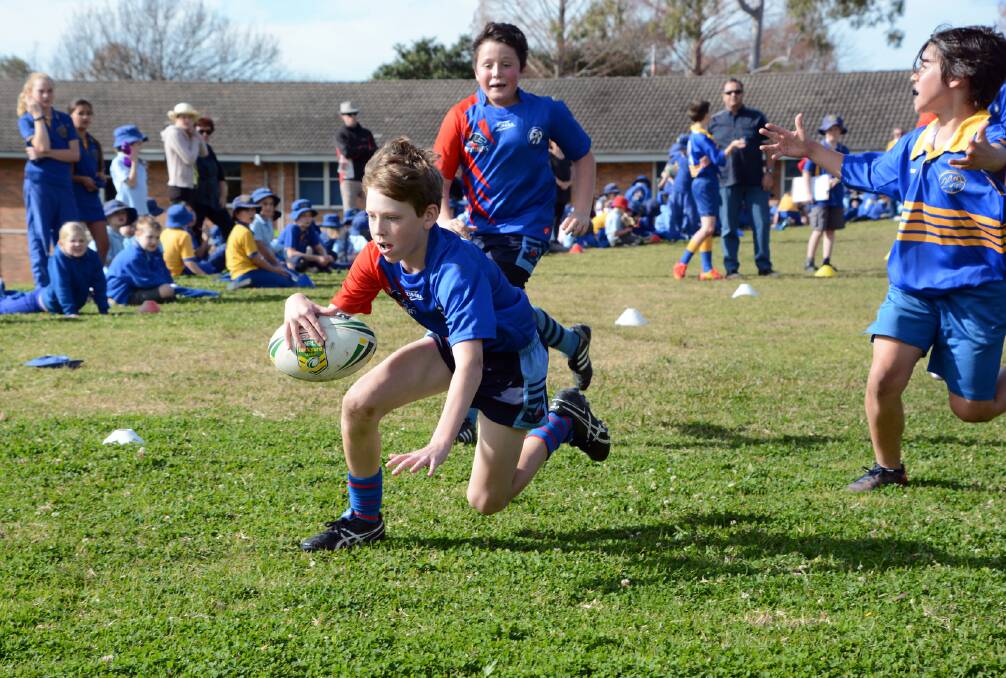 What a winger: Springwood's Leo Cox scores a try in the corner.
