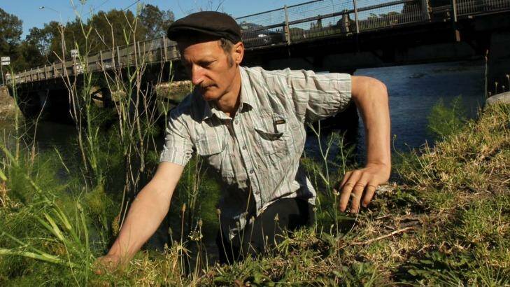 Diego Bonetto leads inner urban tours to forage for tasty weeds. Photo: Tamara Dean